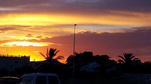 Silhouette of palm trees at sunset