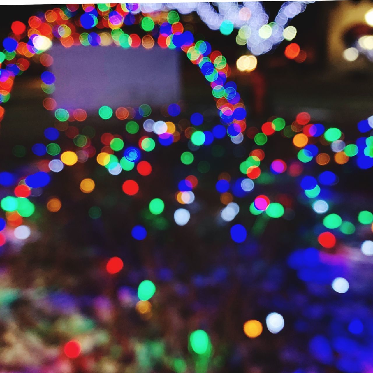 DEFOCUSED IMAGE OF CHRISTMAS LIGHTS