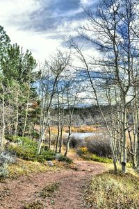 Bare trees on landscape against cloudy sky