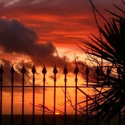 Silhouette trees against sky during sunset