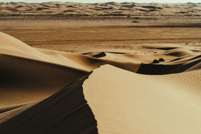 Scenic view of desert