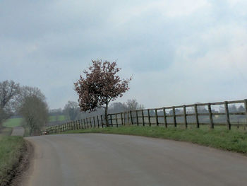 Road by trees against sky