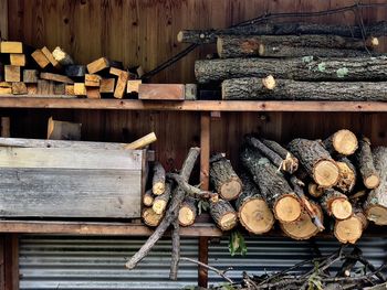 Stack of logs in forest