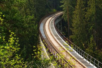 High angle view of railroad tracks amidst trees in forest