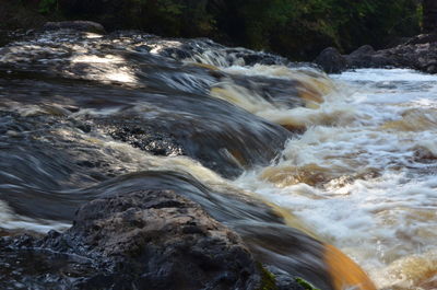 View of waterfall in forest