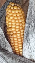 High angle view of vegetables