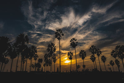 Low angle view of silhouette trees against sky during sunset