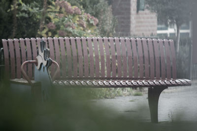 Rainy park bench