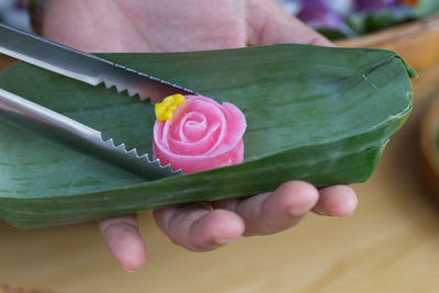 Cropped hands of woman serving food in leaf