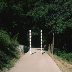 Bridge over road amidst trees