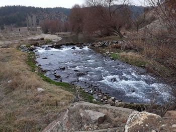 Scenic view of water