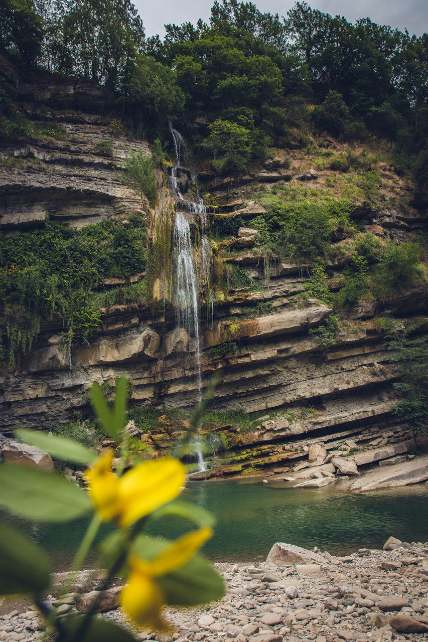 SCENIC VIEW OF WATERFALL AGAINST TREES