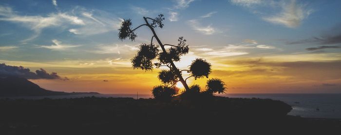 Silhouette tree by sea against sky during sunset