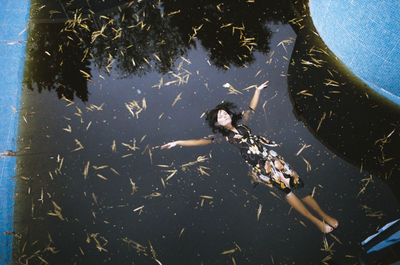 High angle view of fish swimming in sea