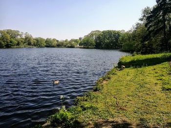 Scenic view of lake