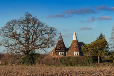 Trees and houses on field against sky