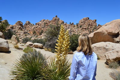 Rear view of woman looking at cactus in joshua tree national park