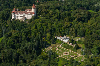 High angle view of trees and houses in forest