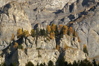 Scenic view of cave