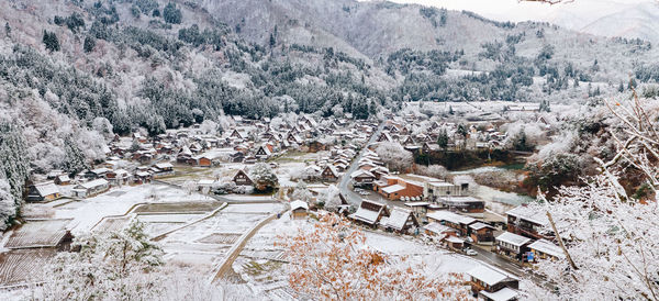 High angle view of plants on snow covered landscape