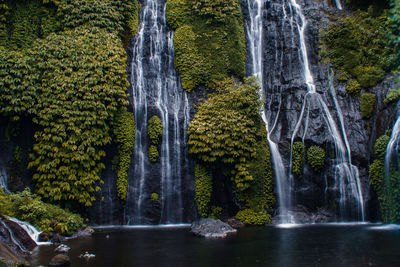 Scenic view of waterfall in forest