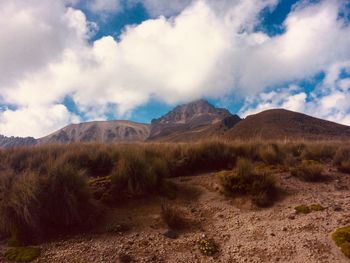 Scenic view of landscape against sky