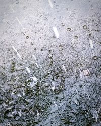 High angle view of cigarette on water