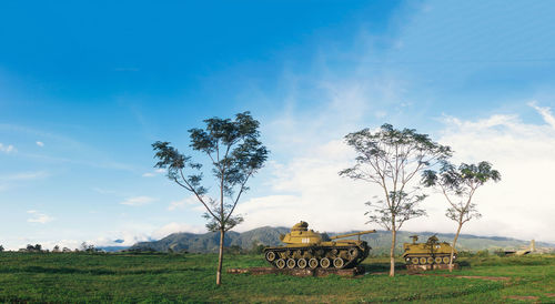 Trees on field against sky