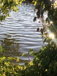 View of a lake