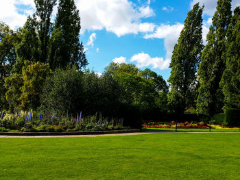 Trees in park against sky