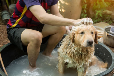 Man bathing dog sitting in tub