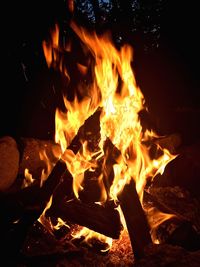 Close-up of bonfire at night