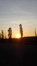 Silhouette trees on field against sky during sunset