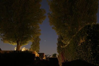 Low angle view of trees and buildings against sky at night