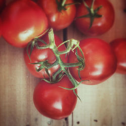 Close-up of tomatoes