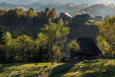 Trees and houses on field against buildings