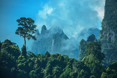 Panoramic view of trees against sky