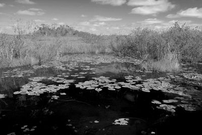 Water flowing over lake against sky