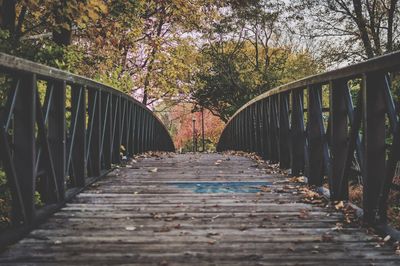 Footbridge in forest