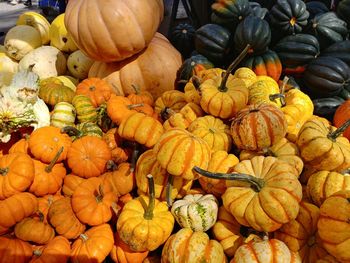 Pumpkins for sale at market stall