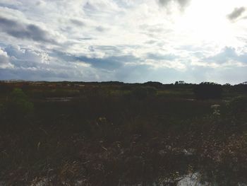 Scenic view of field against sky