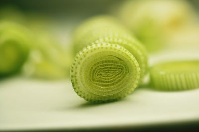 Close-up of fresh green leaf