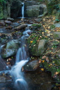 Scenic view of waterfall in forest