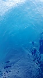 High angle view of person swimming in sea