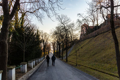 Rear view of people walking on footpath amidst bare trees