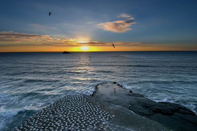 Scenic view of sea against sky during sunset