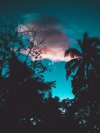 Low angle view of silhouette trees against sky at sunset