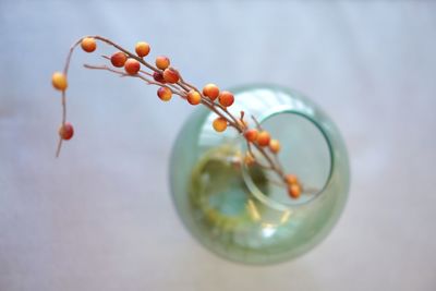 Close-up of orange fruit on table