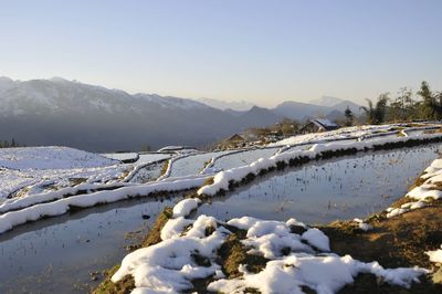 High angle view of snow covered terraced field 