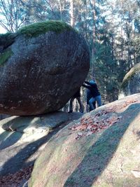 Man on rock by tree